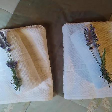 Felicitas En La Casa De Cobos, Ribeira Sacra Apartment Puebla Del Brollon